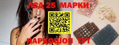 гашик Кулебаки
