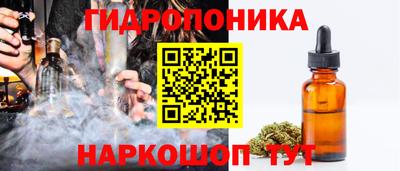 гашик Кулебаки