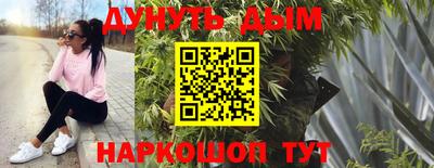 гашик Кулебаки