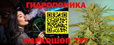 гашик Кулебаки