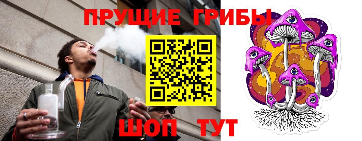Кизилюрт  Галлюциногенные грибы мицелий  Псилоцибиновые грибы Magic Shrooms  Вход с VPN 